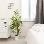 Vittorioveneto126 Bed and Breakfast 3*
